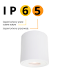 Corp de iluminat montat la suprafață FARO XL alb 1x50W GU10 IP65 Light Prestige