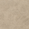 Plăci de pardoseală și de podea EVOLUTION TAUPE 100X100 Peronda