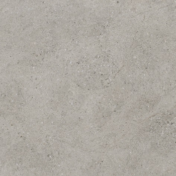 Plăci de pardoseală și de podea EVOLUTION GREY 100X100 Peronda