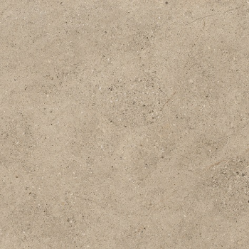 Plăci de pardoseală și de podea EVOLUTION TAUPE 100X100 Peronda