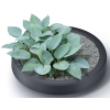 Rezervor de stocare a apei de ploaie MAZE 240l - antracit