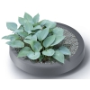 Rezervor de stocare a apei de ploaie MAZE 240l - gri