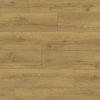 Panele Podłogowe Dąb Miodowy Brązowy Classic Quick-Step Unilin CLM5792 AC4 8 mm
