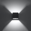 Aplică QUAD 1 antracit 1x40W G9 Sollux Lighting