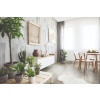 SPC WOOD Panou de parchet din stejar scandinav