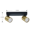Plafonieră SNOW gold 2x50W GU10 Light Prestige