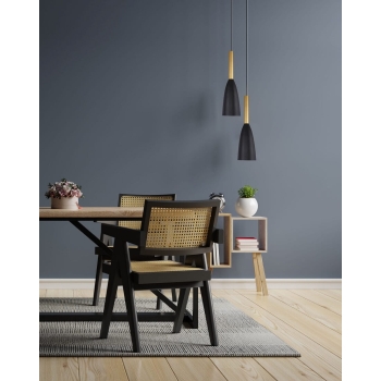 SOLIN aur 1x60W E27 lampă suspendată Light Prestige