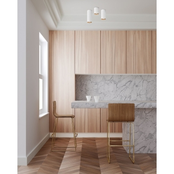 MANACOR corp de iluminat montat la suprafață alb 1x50W GU10 17 cm Light Prestige